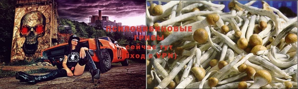 прущие крисы Арсеньев